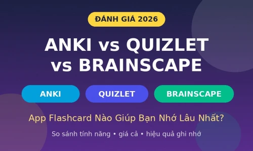 Anki vs Quizlet vs Brainscape: App Flashcard Nào Tốt Nhất Năm 2026?
