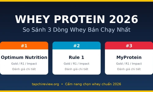 Whey Protein ON Gold Standard vs Rule 1 vs MyProtein: Loại Nào Tốt Nhất Năm 2026?