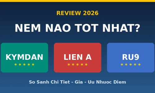 Nệm Kymdan vs Liên Á vs Ru9: Loại Nào Tốt Nhất Năm 2026?