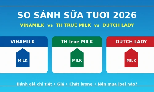 Sữa Tươi Loại Nào Tốt? Vinamilk vs TH true MILK vs Dutch Lady 2026