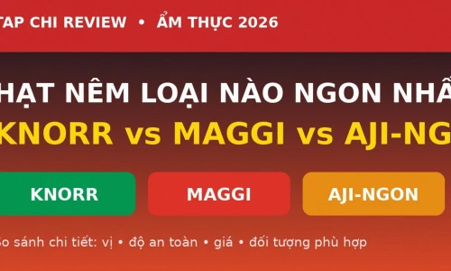 Hạt Nêm Loại Nào Ngon Nhất? Knorr vs Maggi vs Aji-ngon 2026